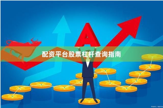 配资平台股票杠杆查询指南
